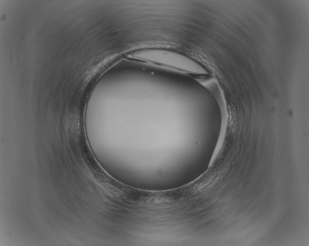 X0000073720348200608241237