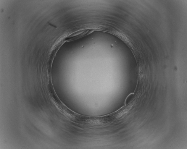 X0000073720349200608241237