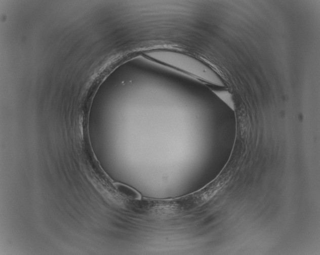 X0000073720350200608241237