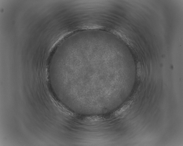 X0000073720351200608241237