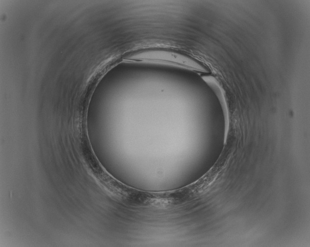 X0000073720352200608241237