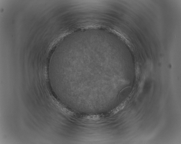 X0000073720353200608241237