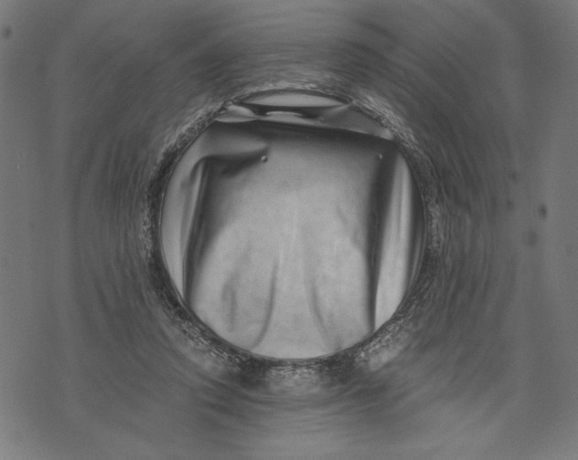 X0000073720354200608241237