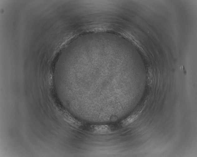 X0000073720355200608241237