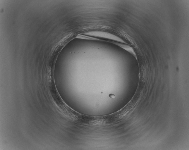 X0000073720356200608241237