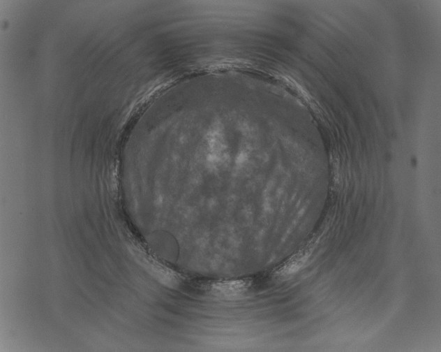 X0000073720357200608241237