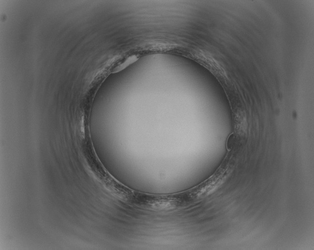 X0000073720358200608241238