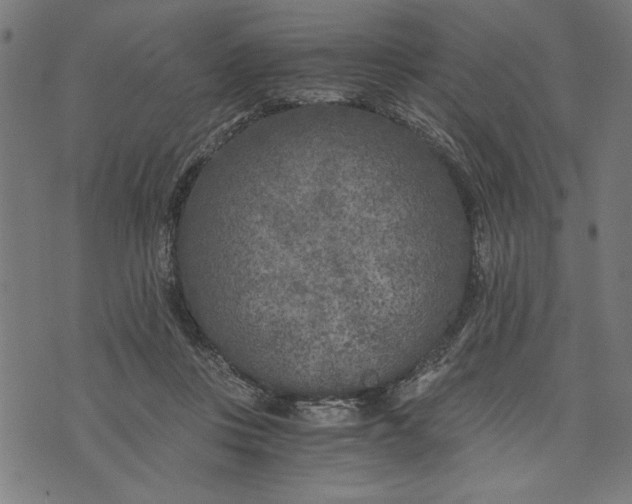 X0000073720359200608241238