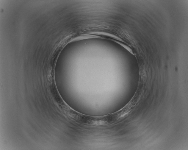 X0000073720360200608241238