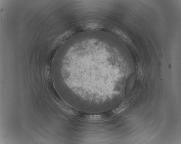 X0000073720361200608241238