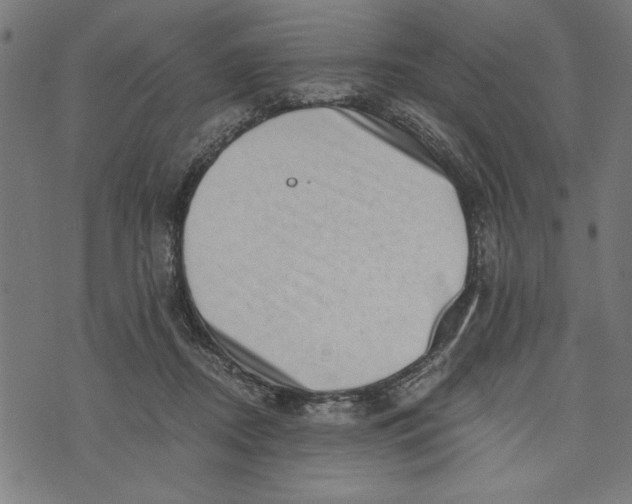 X0000073720362200608241238