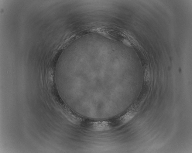 X0000073720363200608241238