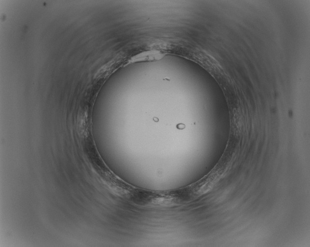 X0000073720364200608241238