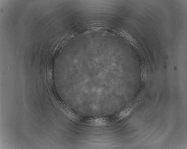 X0000073720365200608241238