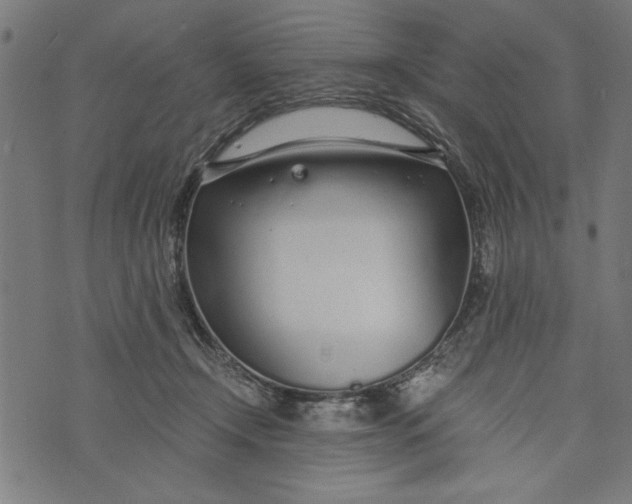 X0000073720366200608241238