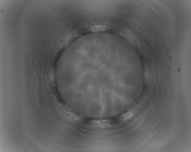 X0000073720367200608241238