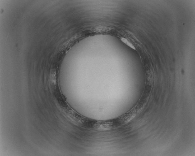 X0000073720368200608241238