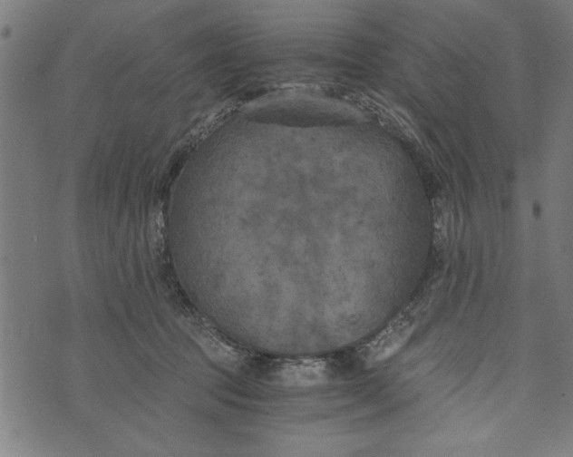 X0000073720369200608241238