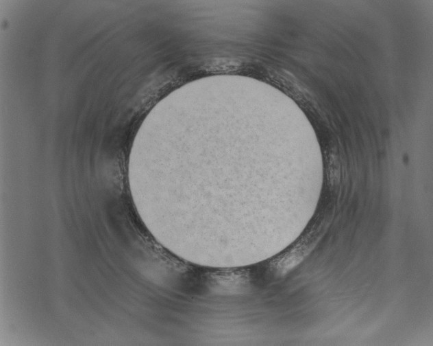 X0000073720370200608241238