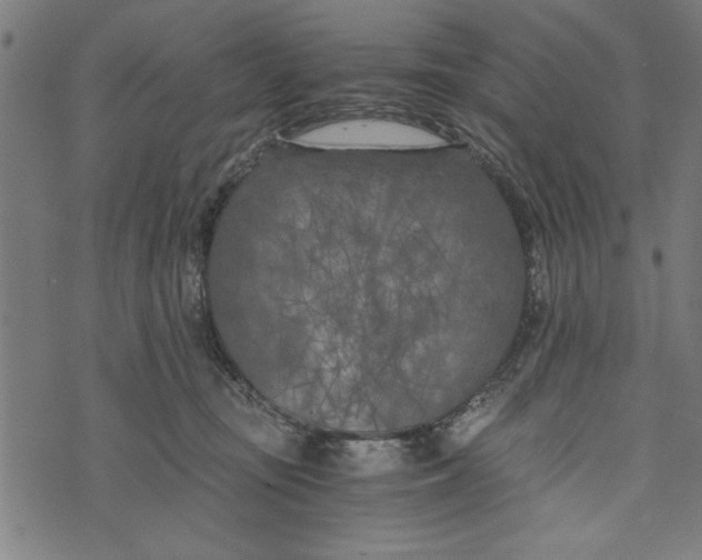 X0000073720371200608241238