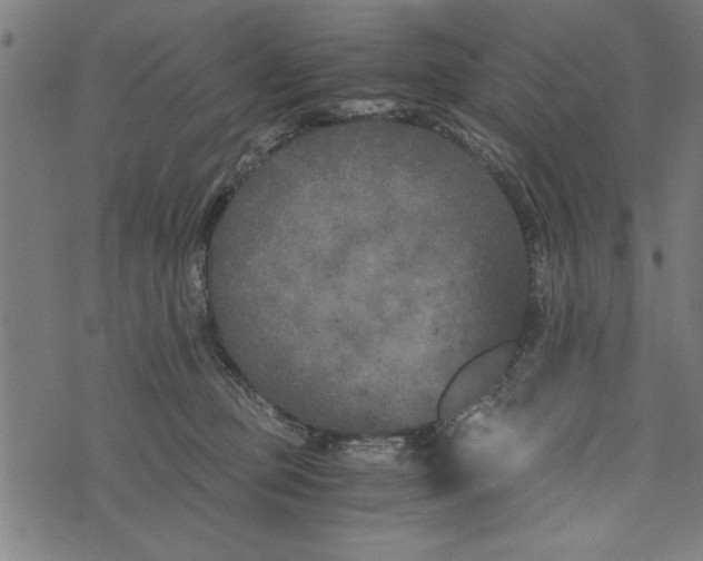 X0000073720373200608241238