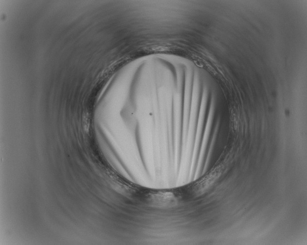 X0000073720374200608241238