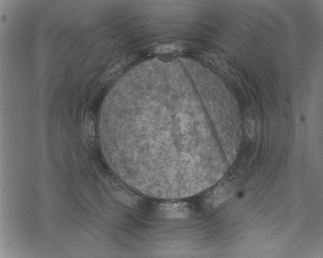 X0000073720375200608241238