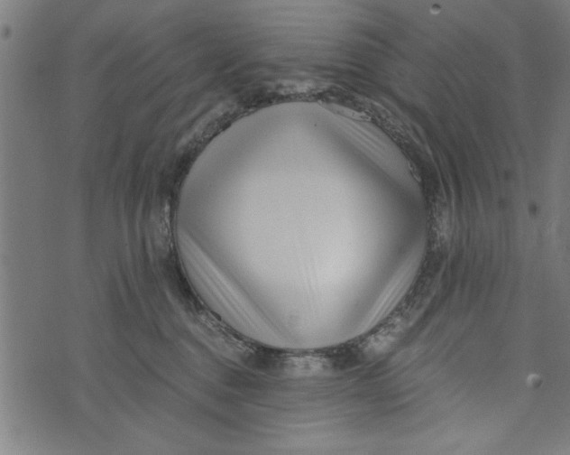 X0000073720376200608241238