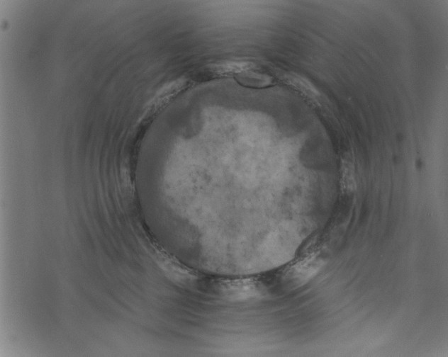 X0000073720377200608241238