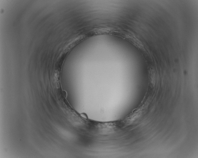 X0000073720378200608241238