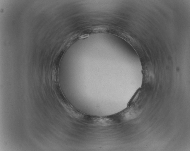 X0000073720379200608241238