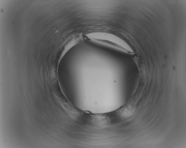 X0000073720380200608241238