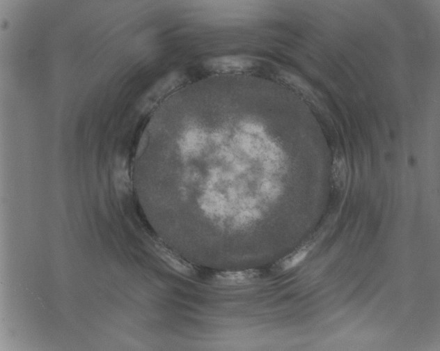 X0000073720381200608241238