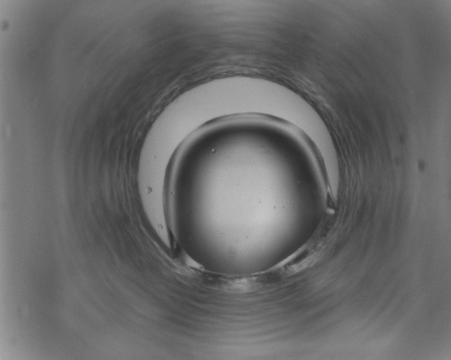 X0000073720382200608241238