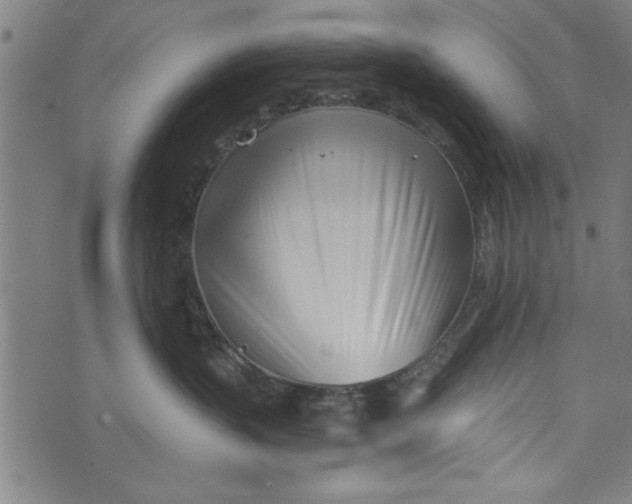 X0000073720383200608241238