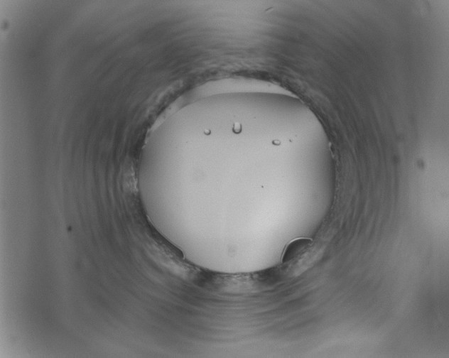 X0000073720384200608241238