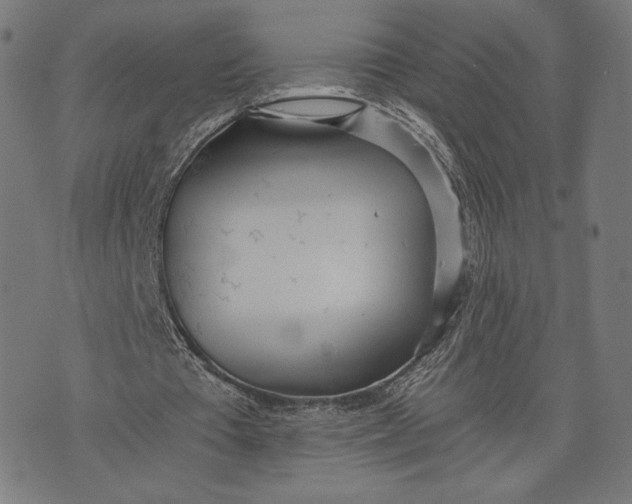 X0000073720385200608241237