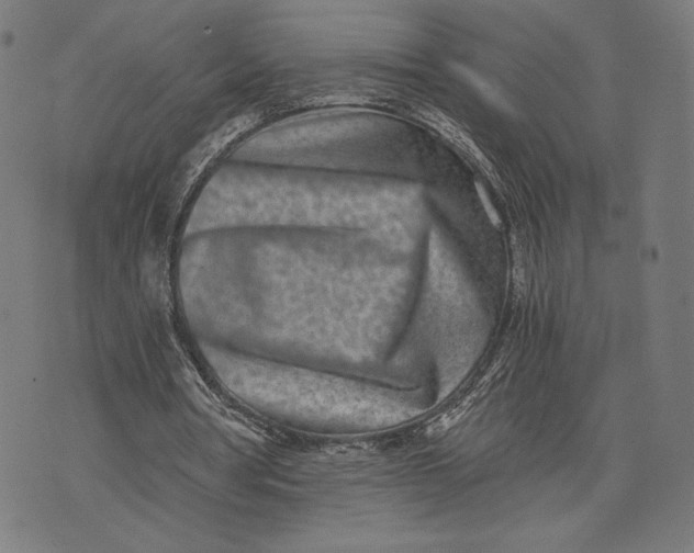 X0000073720386200608241237