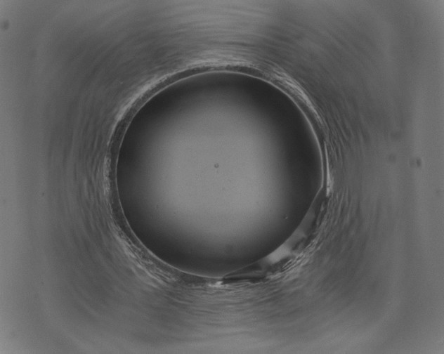 X0000073720387200608241237