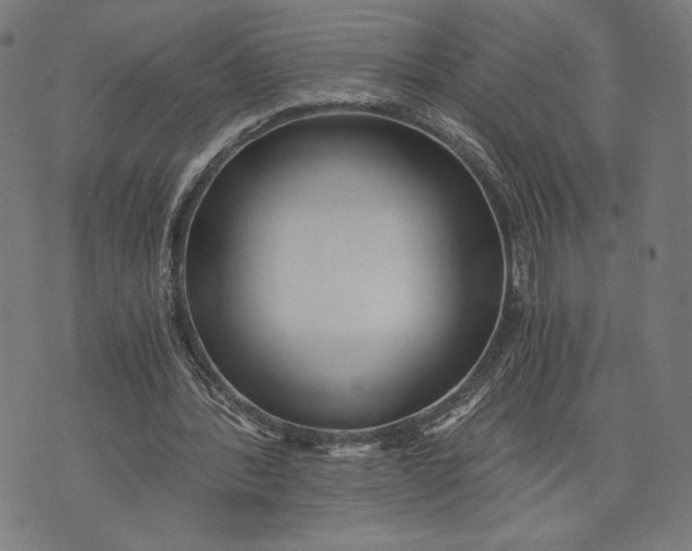 X0000073720388200608241237