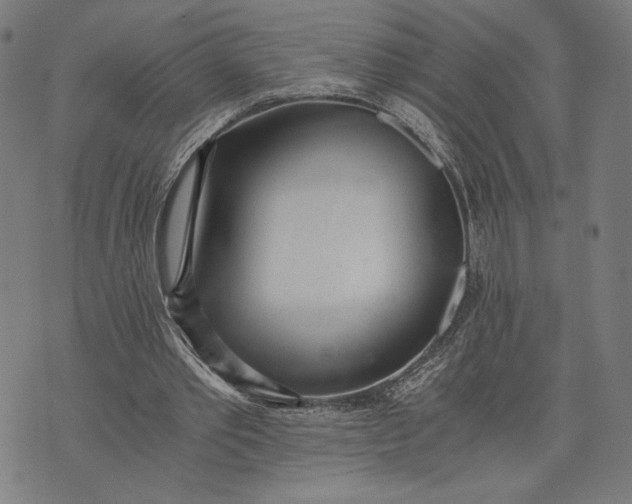 X0000073720389200608241237