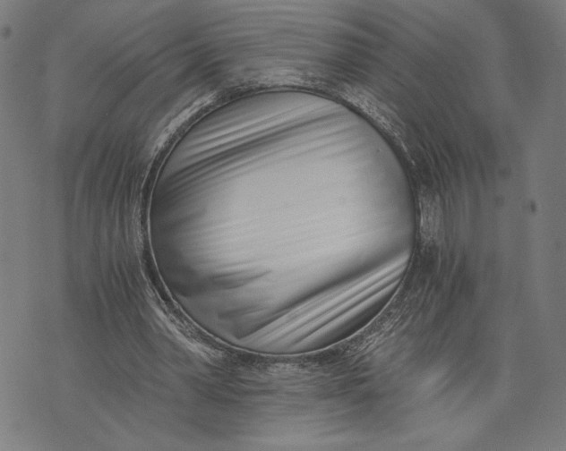 X0000073720390200608241237