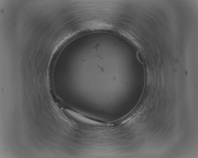 X0000073720391200608241237