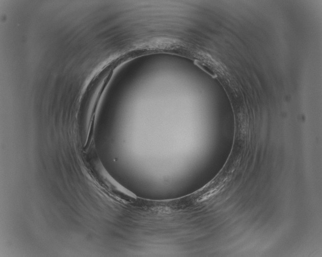 X0000073720392200608241237