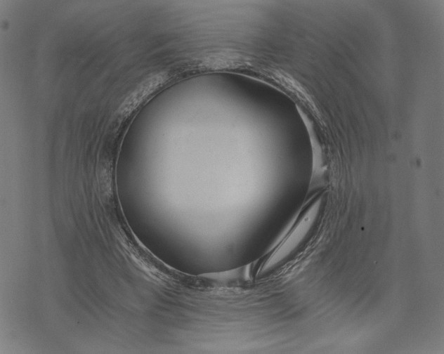 X0000073720393200608241237