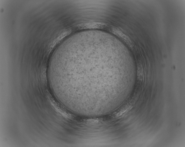 X0000073720394200608241237