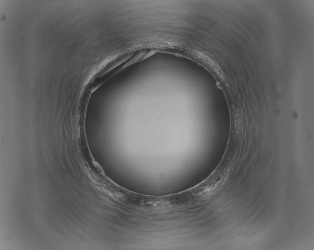 X0000073720395200608241237