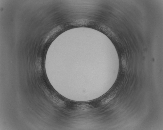 X0000073720396200608241237