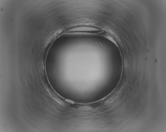 X0000073720397200608241237