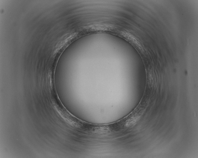 X0000073720398200608241237